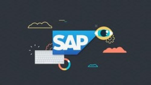 SAP Business Analytics Essential Training